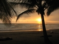 Costa Rica Beach Farms